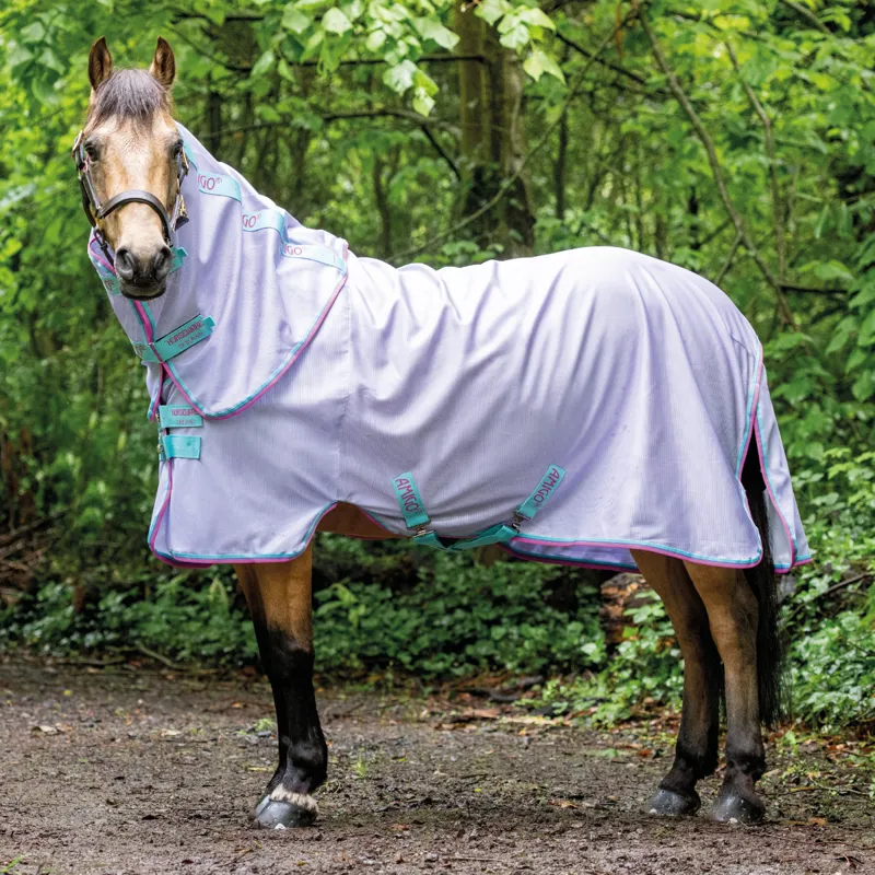 Amigo Bug Rug Pony - Lavender